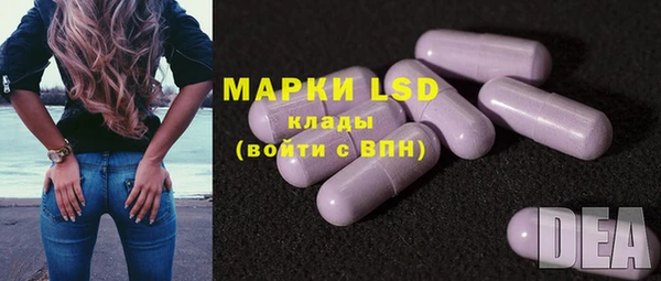 PSILOCYBIN Дмитриев