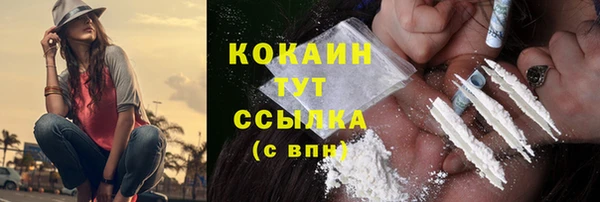 PSILOCYBIN Дмитриев