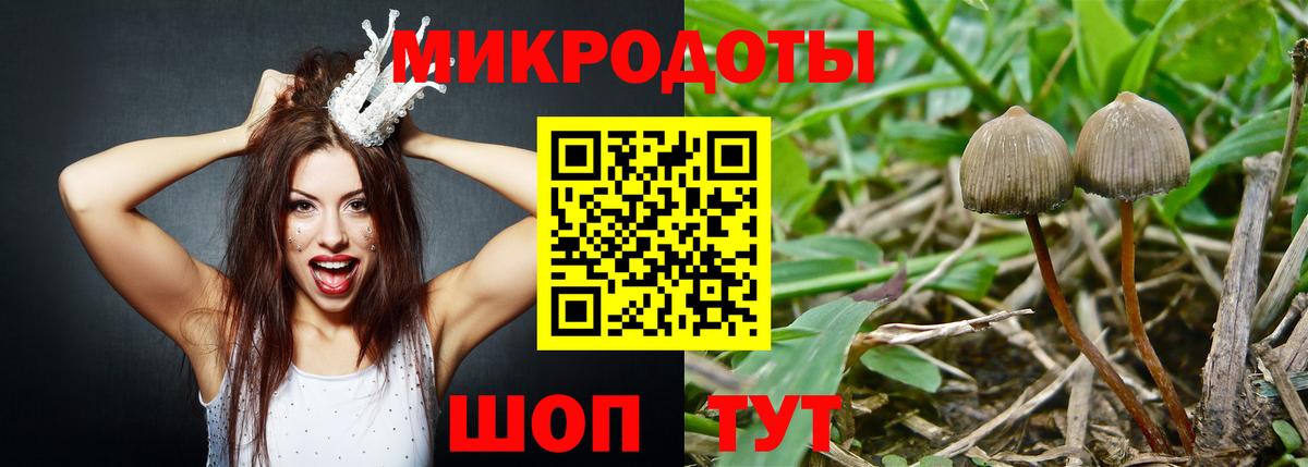 Псилоцибиновые грибы Cubensis Еманжелинск